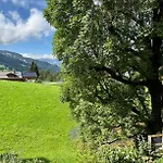 Gem: Alps View Serene Pond Гштад