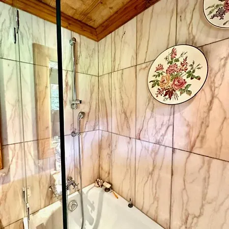 Gem: Alps View Serene Pond *