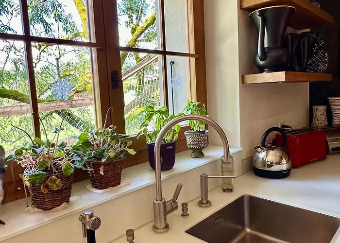 Gem: Alps View Serene Pond