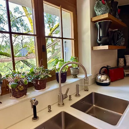 Gem: Alps View Serene Pond