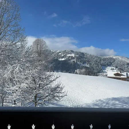 Gem: Alps View Serene Pond * Gstaad
