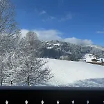 Gem: Alps View Serene Pond * Gstaad